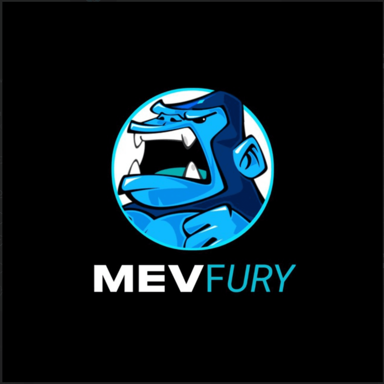 MEVFury – Solana Telegram Trading Bot